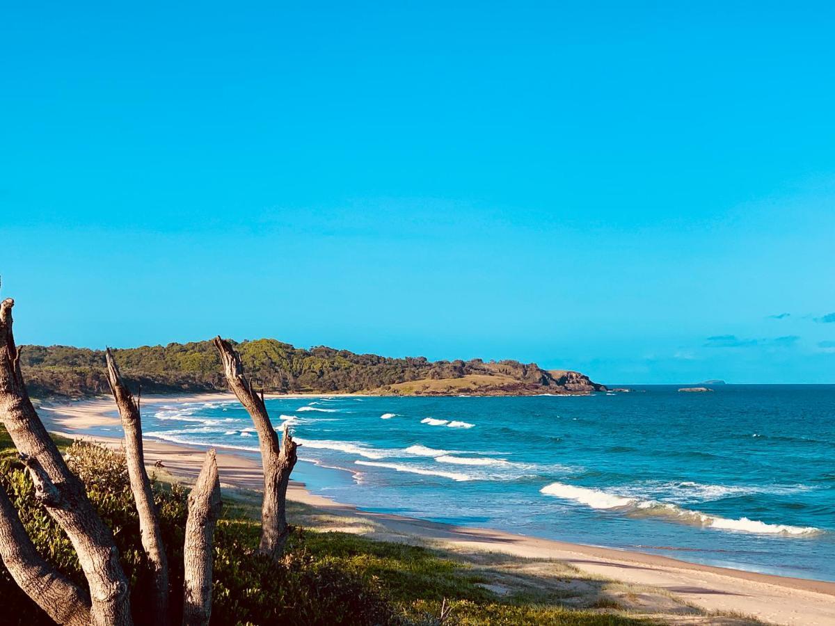 Surf Beach Motel Coffs Coffs Harbour Exteriör bild